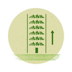 Verde pensile e verticale